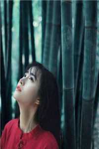 官婿美人香(刘志中卢玉清)最新完本小说_热门小说推荐官婿美人香(刘志中卢玉清)