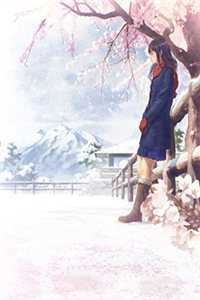 替身合约到期后，她却后悔了(沈繁星白月光)小说免费完结_免费阅读全文替身合约到期后，她却后悔了沈繁星白月光