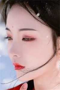 穿成虐文女主后，我杀疯了陆辞顾晓曼热门小说阅读_推荐完本小说穿成虐文女主后，我杀疯了(陆辞顾晓曼)