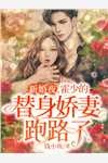 和岳父跑路后，婆婆和妻子急疯了崔如烟沈致礼最新章节列表_在哪看免费小说和岳父跑路后，婆婆和妻子急疯了崔如烟沈致礼
