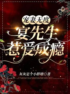 涉江采芙蓉陆执满京城热门小说完结_热门完结小说涉江采芙蓉(陆执满京城)
