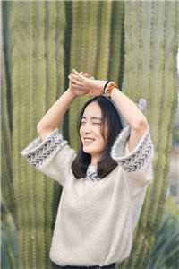 顶级豪婿