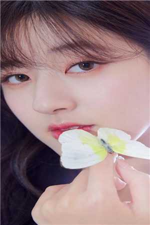 以爱为囚宋安泽秋晚清全本完结小说_小说完结以爱为囚宋安泽秋晚清