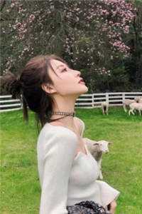 不就是生个孩子，你在高贵什么？(陆经年楠楠)热门网络小说_完结的热门小说不就是生个孩子，你在高贵什么？陆经年楠楠