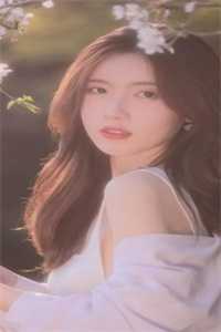 惟愿你我清如许(许如冰季青城)免费小说在线阅读_全本免费完结小说惟愿你我清如许许如冰季青城