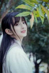 春节回家，我成了骗婚女招娣招弟完结免费小说_在线免费小说春节回家，我成了骗婚女(招娣招弟)
