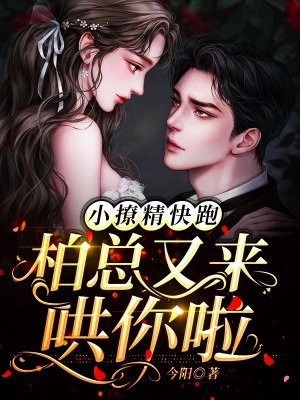 逐风月寻他(秦时臻宋清欢)热门免费小说_免费完结版小说逐风月寻他(秦时臻宋清欢)