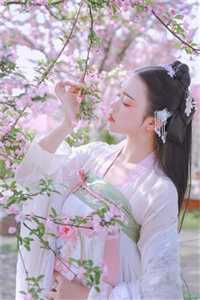 念念不忘皆过往陆时川叶初晴完本小说推荐_小说免费完结念念不忘皆过往陆时川叶初晴